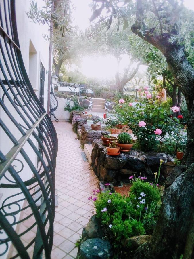 B&B Valverde Dorgali Zewnętrze zdjęcie